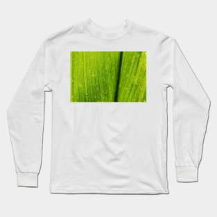 Close up of a Green Lotus Leave Texture Background Long Sleeve T-Shirt